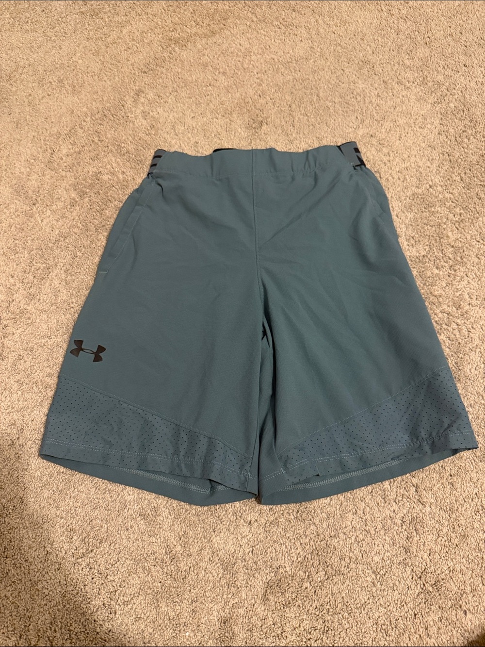 Under Armour Men's Teal Performance Shorts
